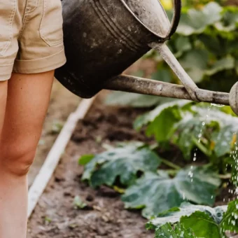 Baumarkt und Gartencenter als Quellen der Selbstwirksamkeit