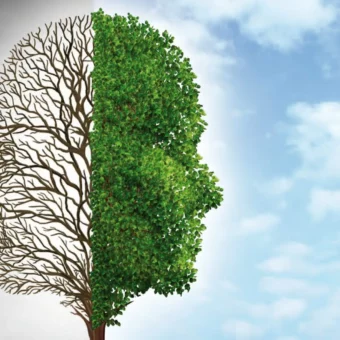 Depression und ihre geheime Logik