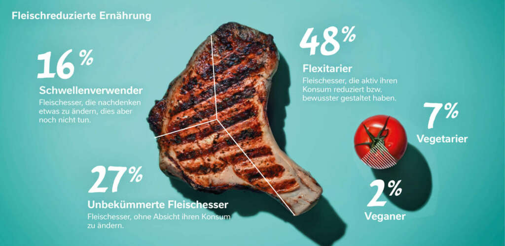 Nestele Studie 24